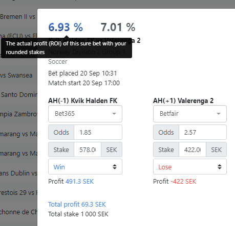 actual-roi-surebet