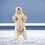Polarbear